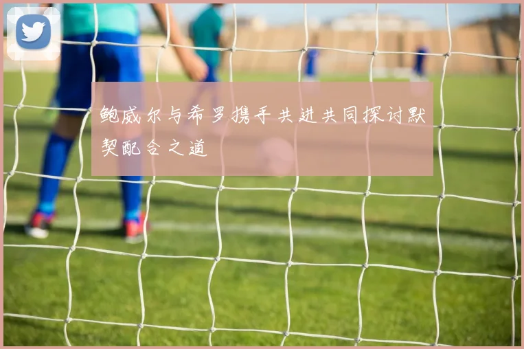 鲍威尔与希罗携手共进共同探讨默契配合之道