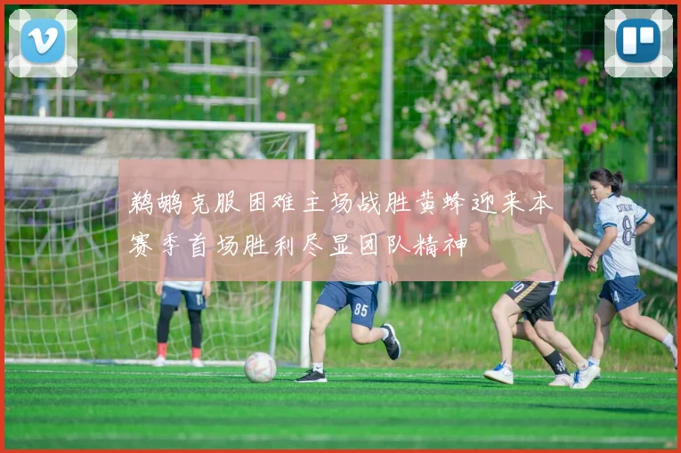 鹈鹕克服困难主场战胜黄蜂迎来本赛季首场胜利尽显团队精神