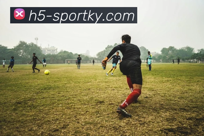 开云体育APP 封面图